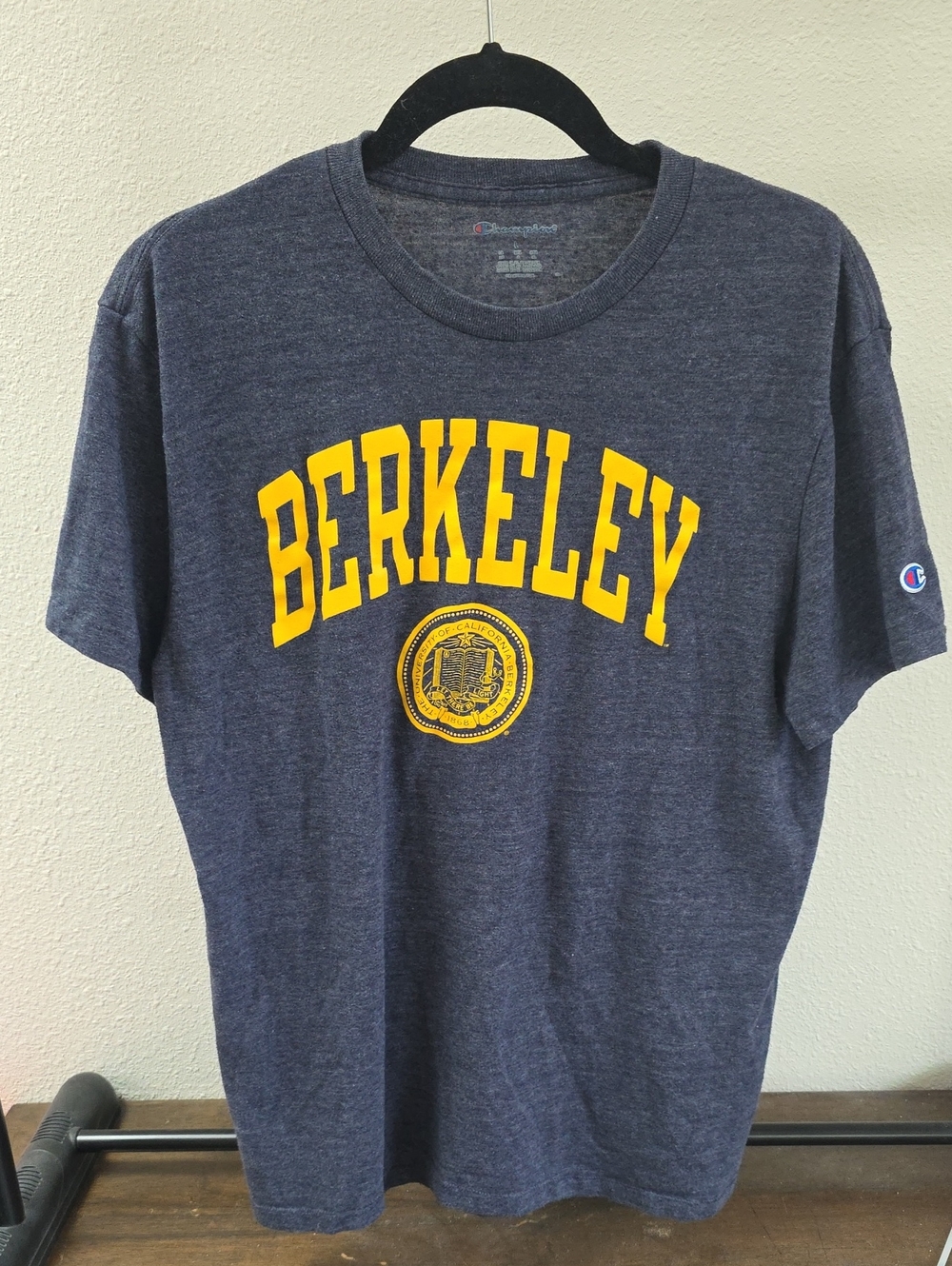 Champion UC Berkeley Cal Bears Graphic T-Shirt Gray